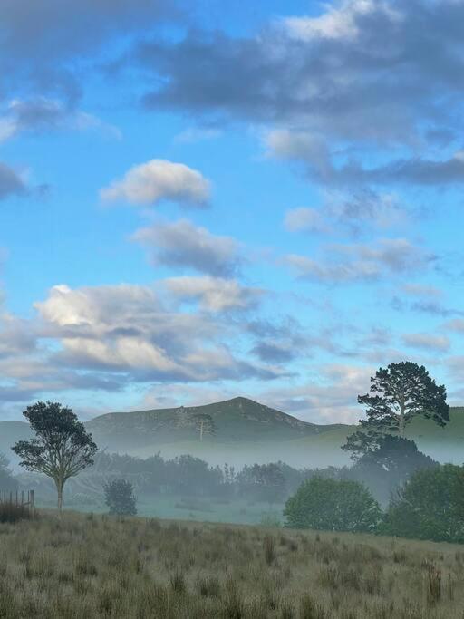 Shearer's Matauri Bay